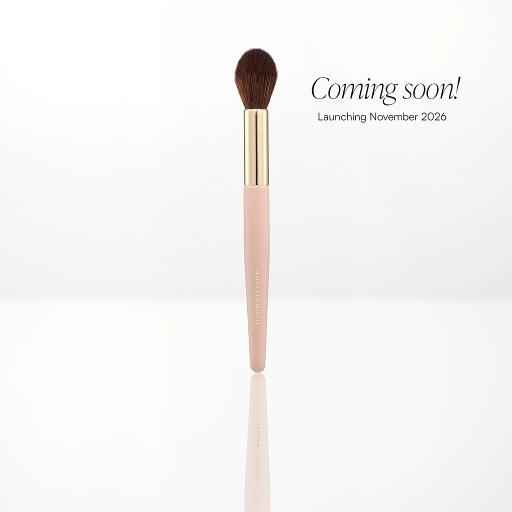Powder Brush - powder brush