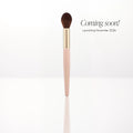 Powder Brush - powder brush