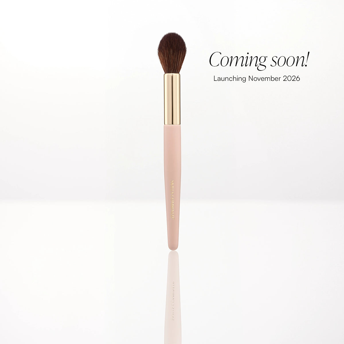Powder Brush - puuterisivellin